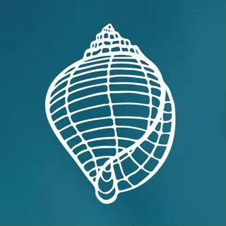 Logo Icon